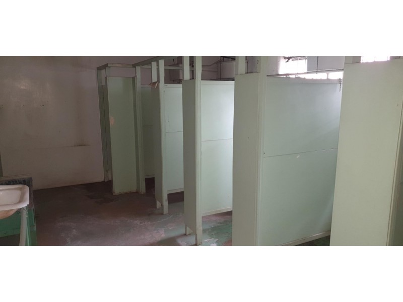 9 Rowell Street, Granville NSW 2142