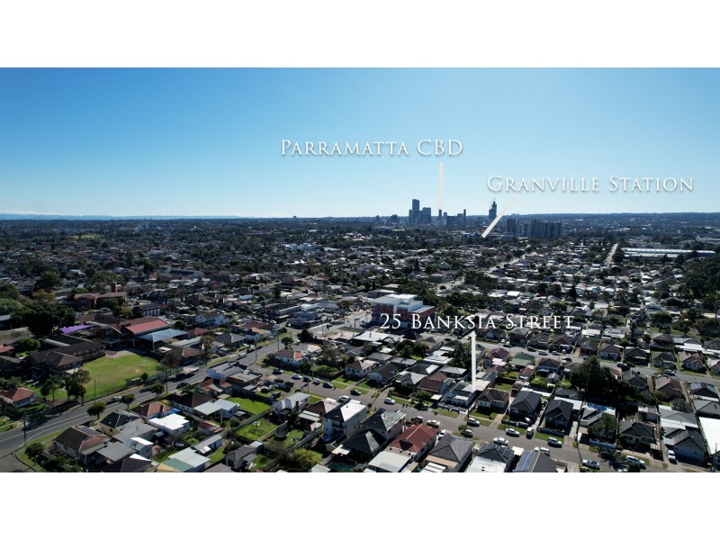 25 Banksia Street, Granville NSW 2142