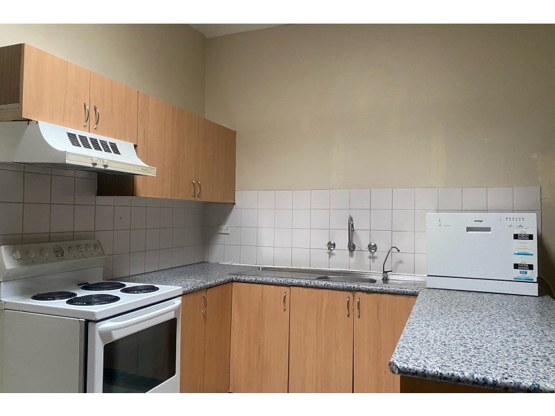 19a Good Street, Granville NSW 2142