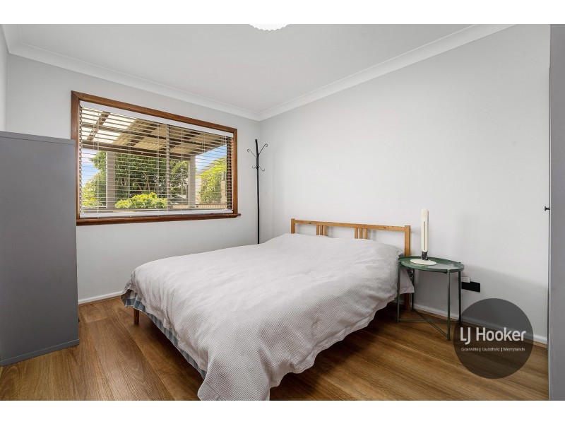 17 Wells Street, Granville NSW 2142