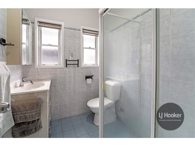 17 Wells Street, Granville NSW 2142