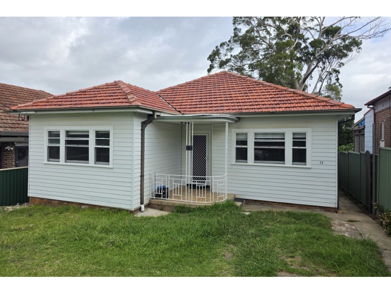12 Clarke Street, Granville NSW 2142