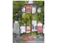 33 Banks Street, Mays Hill NSW 2145