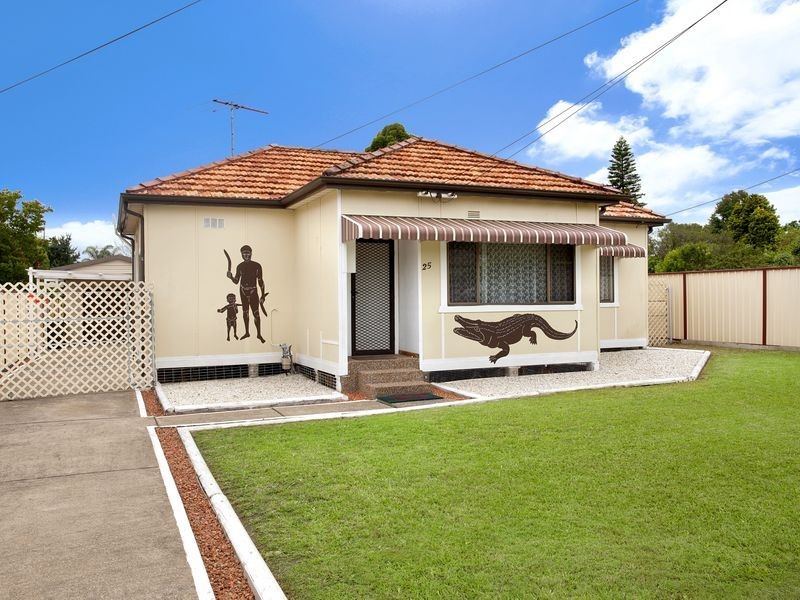 25 Namur Street, Granville NSW 2142
