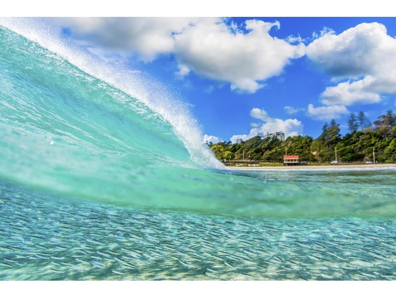 3/32 Powell Crescent, Coolangatta QLD 4225