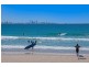 2025/14-18 Stuart Street, Tweed Heads NSW 2485