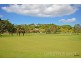 2/234 Darlington Drive, Banora Point NSW 2486