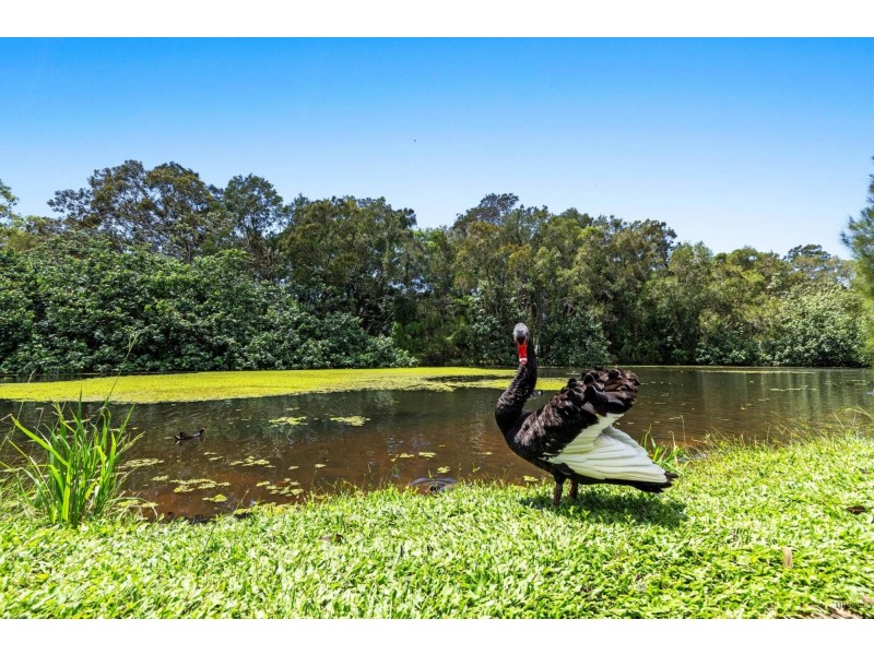 16/527-535 Gold Coast Highway, Tugun QLD 4224