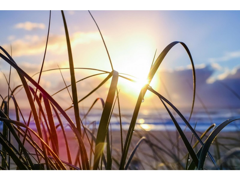 2/121-127 Musgrave Street, Coolangatta QLD 4225