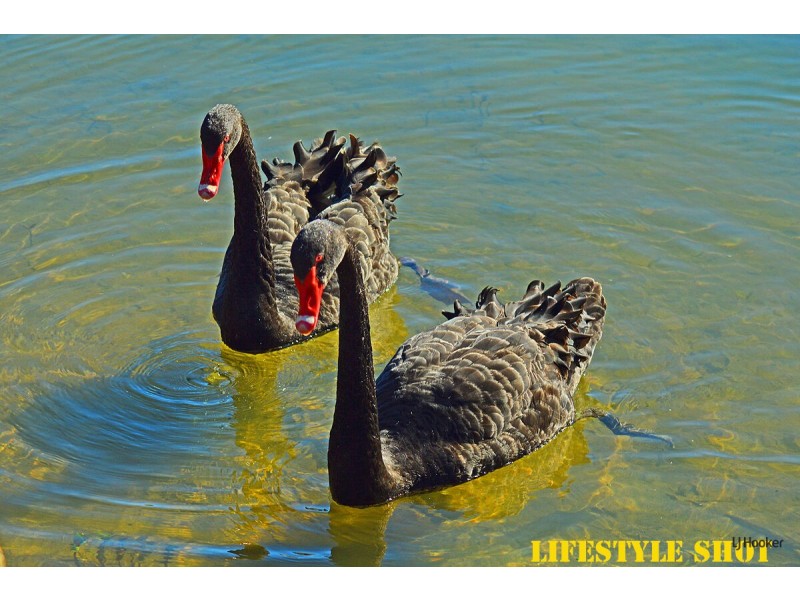 72 Glen Ayr Drive, Banora Point NSW 2486