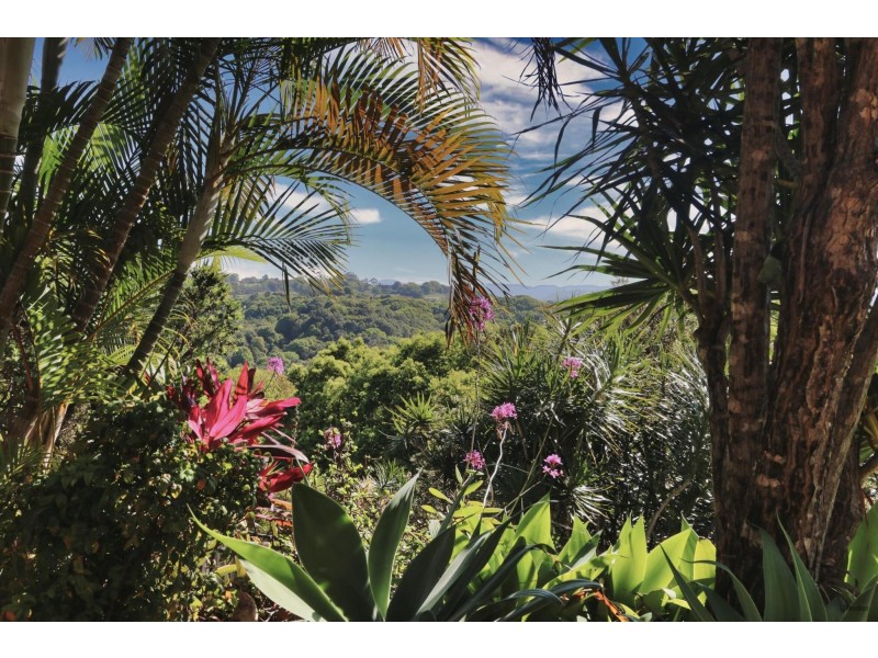 50 Warringa Drive, Bilambil Heights NSW 2486