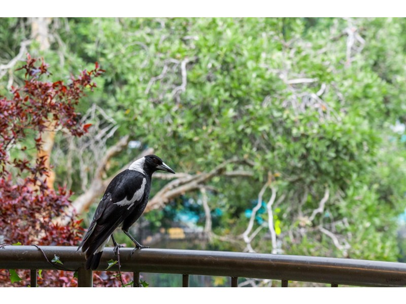 3/5 Seymour Street, Tweed Heads South NSW 2486