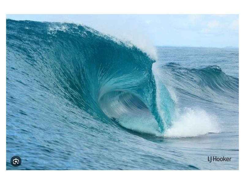 81 Bowen Loop, Cudgen NSW 2487