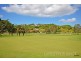 22 Firestone Drive, Banora Point NSW 2486