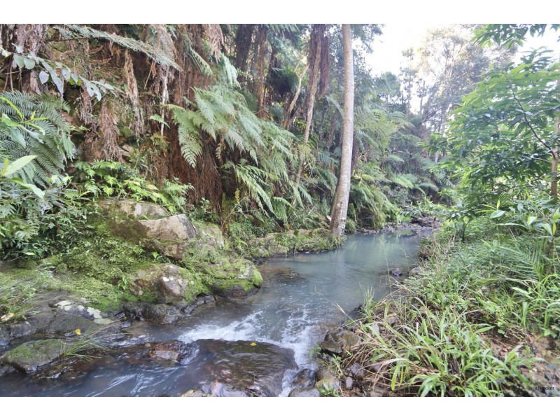 474 Urliup Road, Urliup NSW 2484