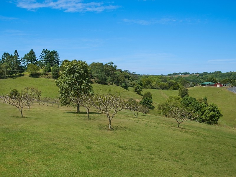 61 Crofters Way, Bilambil NSW 2486