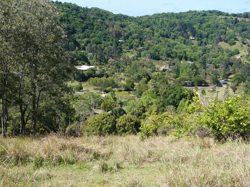 93 Green Valley Way, Piggabeen NSW 2486