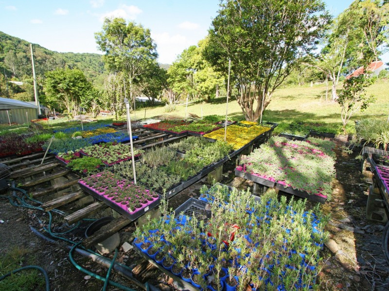 93 Green Valley Way, Piggabeen NSW 2486