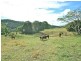 512 Carool Road, Carool NSW 2486