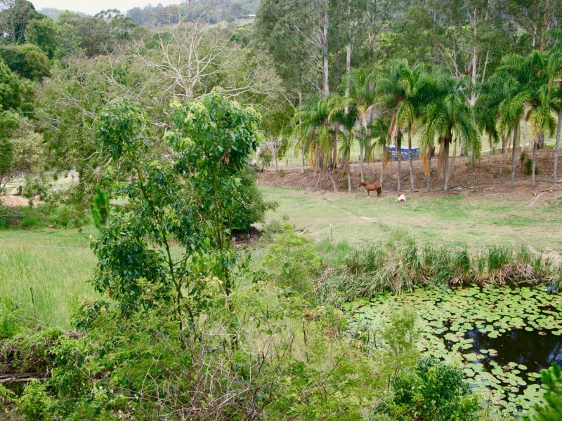 45 Green Valley Way, Piggabeen NSW 2486