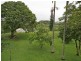 117 River St, Murwillumbah NSW 2484
