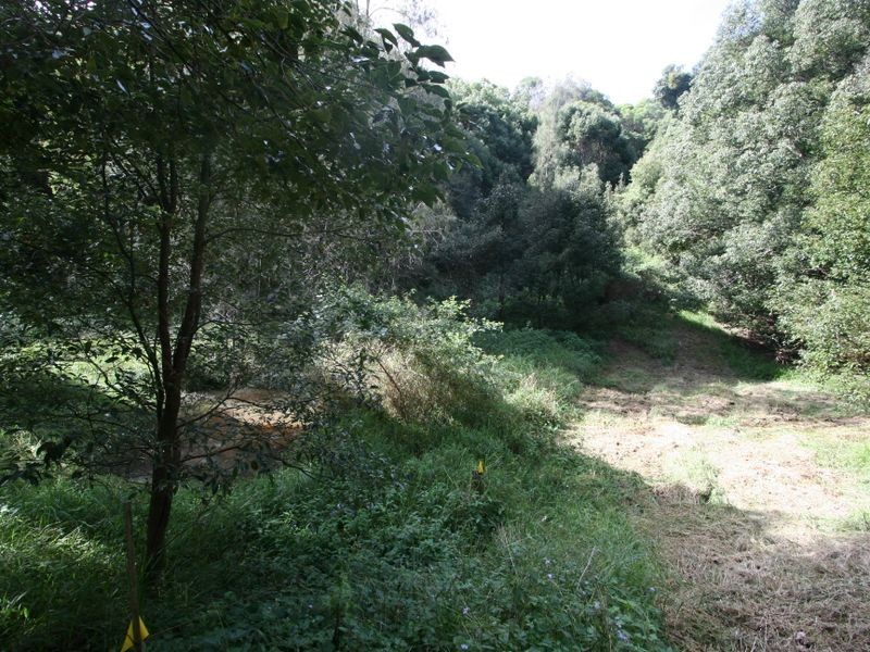 Lot 4 Eva Crescent, Piggabeen NSW 2486