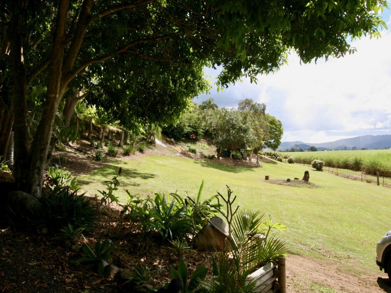 181 Clothiers Creek Road, Nunderi NSW 2484