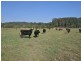 317 Round Mountain Road, Round Mountain NSW 2484