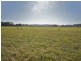 317 Round Mountain Road, Round Mountain NSW 2484