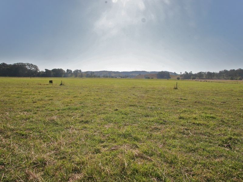 317 Round Mountain Road, Round Mountain NSW 2484