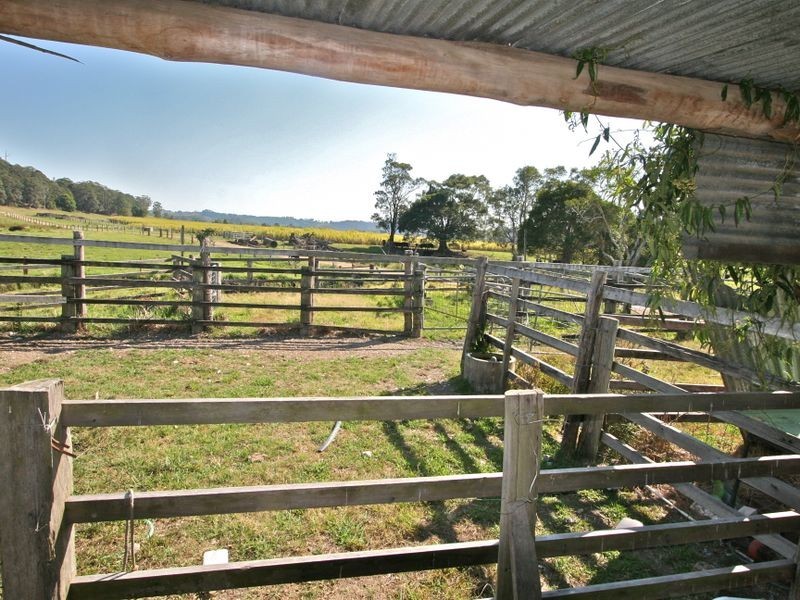 317 Round Mountain Road, Round Mountain NSW 2484