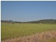317 Round Mountain Road, Round Mountain NSW 2484