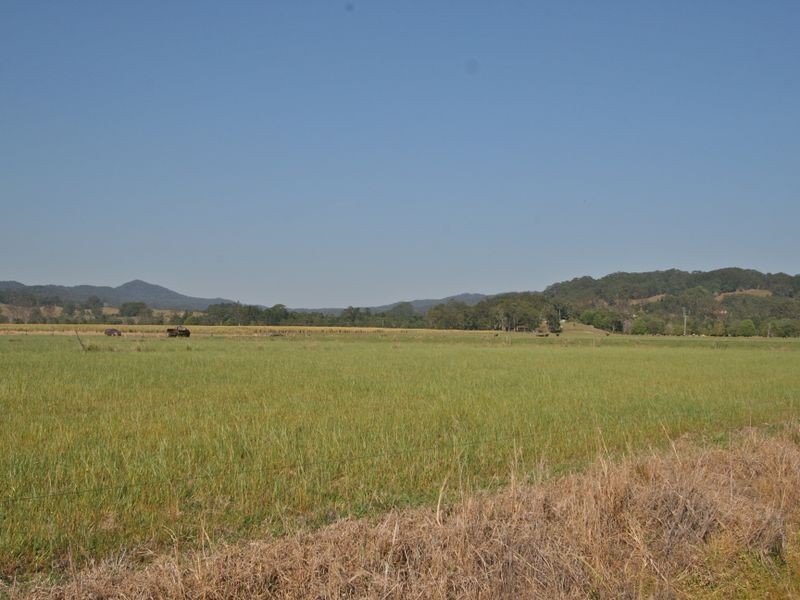 317 Round Mountain Road, Round Mountain NSW 2484