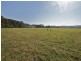 317 Round Mountain Road, Round Mountain NSW 2484