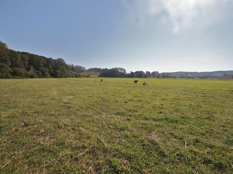 317 Round Mountain Road, Round Mountain NSW 2484