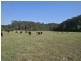 317 Round Mountain Road, Round Mountain NSW 2484