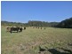 317 Round Mountain Road, Round Mountain NSW 2484