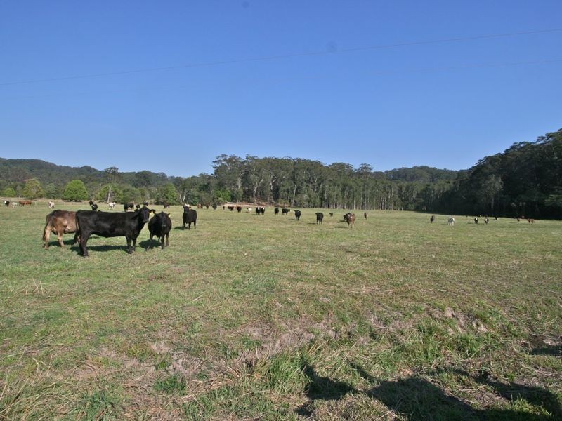 317 Round Mountain Road, Round Mountain NSW 2484