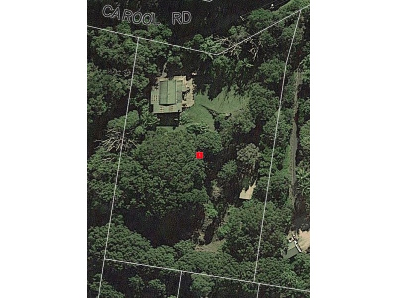 47 Carool Road, Bilambil NSW 2486