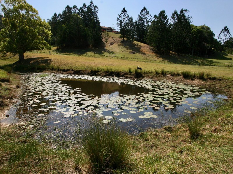 15 Pinetree Place, Piggabeen NSW 2486