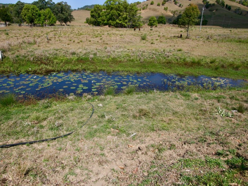 15 Pinetree Place, Piggabeen NSW 2486