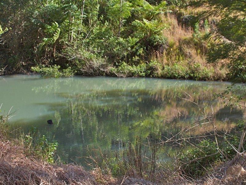 23 Slash Pine Rd, Carool NSW 2486