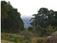 70 Cougal Road, Carool NSW 2486