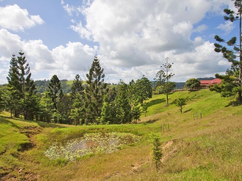 18 Pine Tree Place, Piggabeen NSW 2486