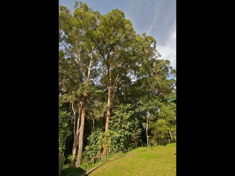 4 Laurel Place, Tweed Heads West NSW 2485
