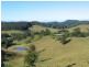 Crystal Creek NSW 2484