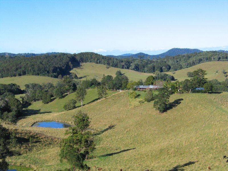 Crystal Creek NSW 2484