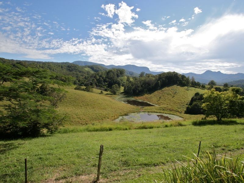 Crystal Creek NSW 2484