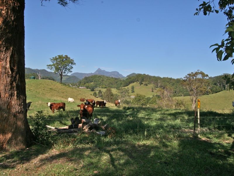 Crystal Creek NSW 2484