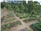 204 Glengarrie Road, Carool NSW 2486